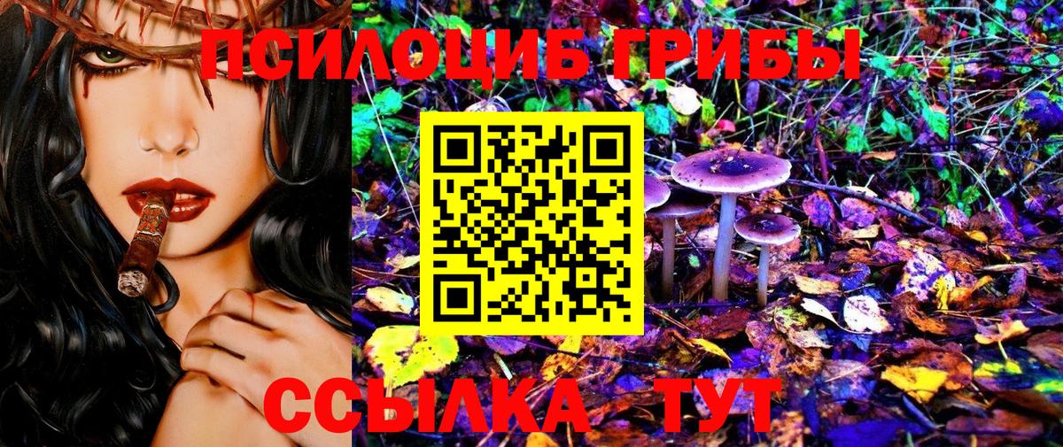 Псилоцибиновые грибы мицелий  что такое наркотик  Ижевск  Вход с VPN 